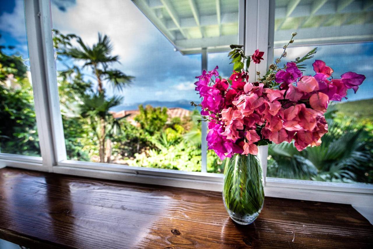 Papaya Suite At Sunset Serenade Cruz Bay Exterior foto